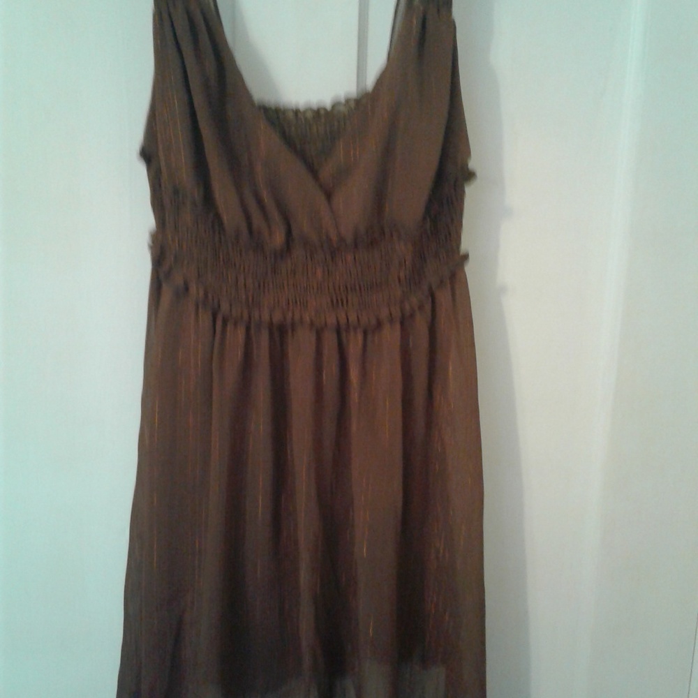Metallic brown and Gold Blouse